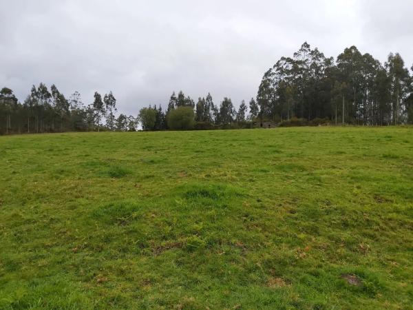 Terreno en calle malvive, 2 photo 1