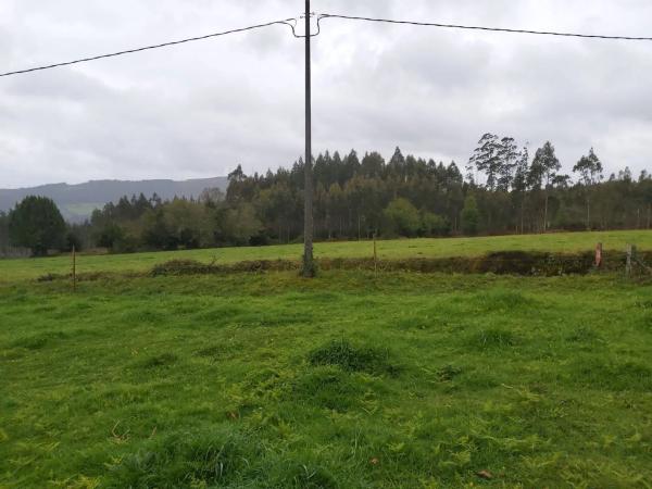 Terreno en calle malvive, 2 photo 3
