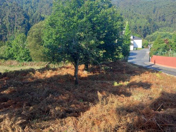 Terreno en camino de la Iglesia s/n  sn photo 1