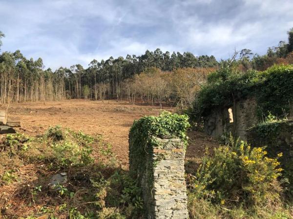 Terreno en Lugar Sabaido, 5 photo 1
