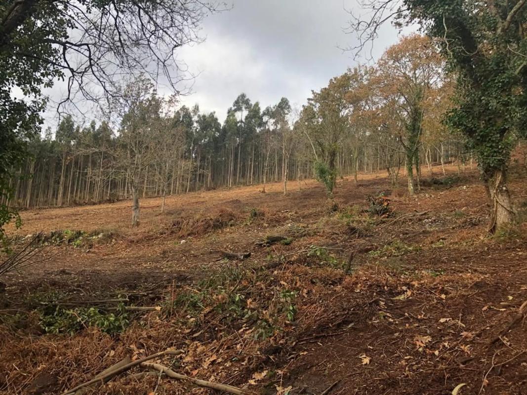 Terreno en venta en Mañon, A Coruña photo 2