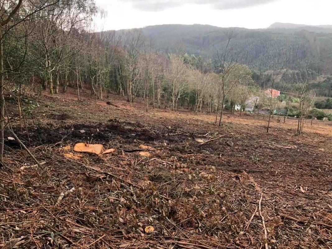 Terreno en venta en Mañon, A Coruña photo 3