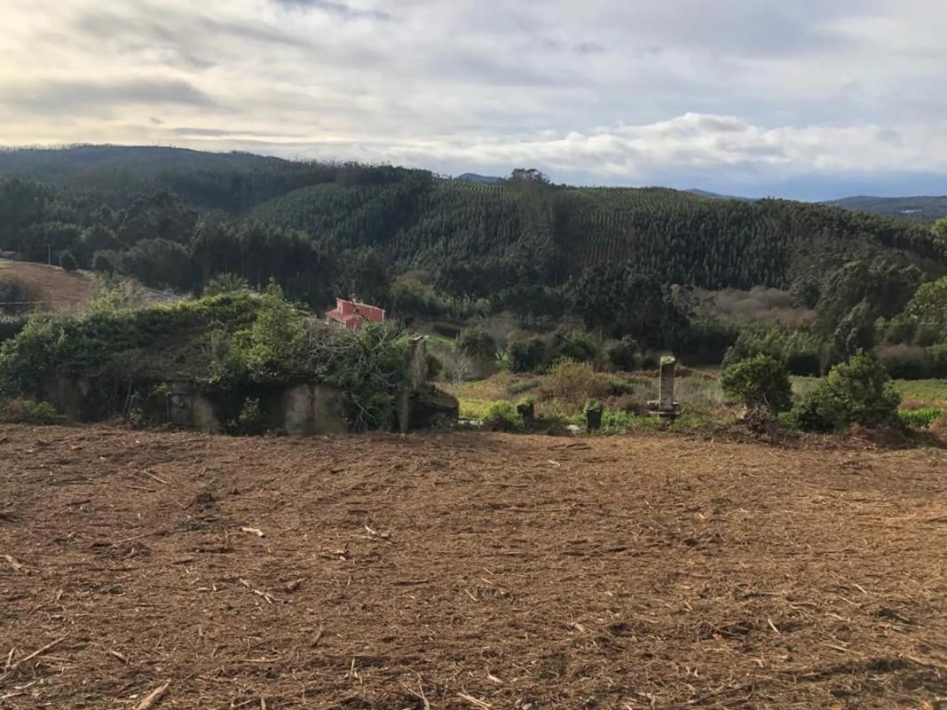Terreno en venta en Mañon, A Coruña photo 4