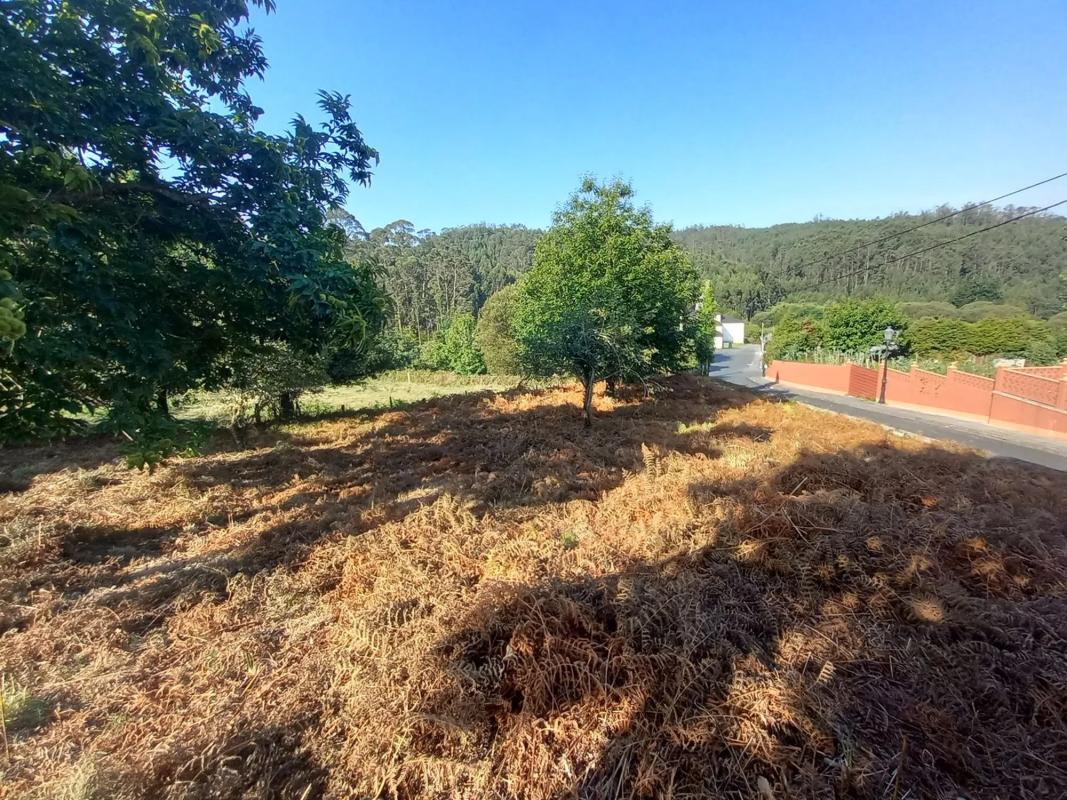 Terreno en venta en Mañon, A Coruña photo 5