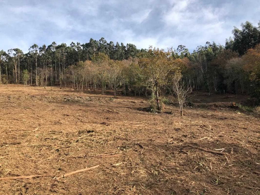 Terreno en venta en Mañon, A Coruña photo 5