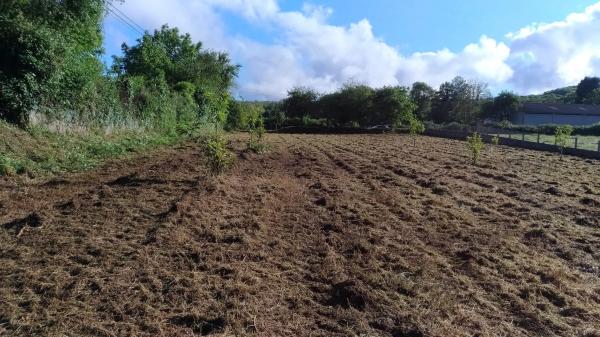 Terreno en Corvelle s/n photo 1
