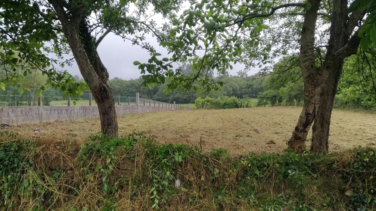 Terreno en venta en Melide, A Coruña photo 2