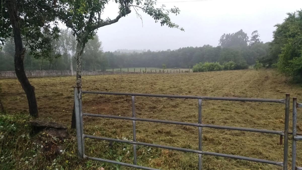 Terreno en venta en Melide, A Coruña photo 3
