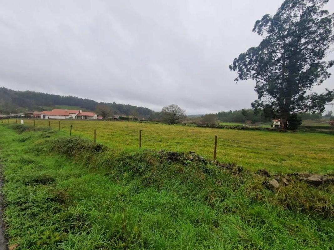 Działka na sprzedaż w Melide, A Coruña photo 4