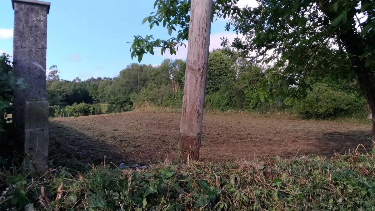 Terreno en venta en Melide, A Coruña photo 4