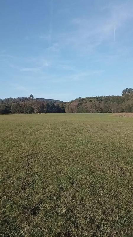 Land for sale in Melide, A Coruña photo 3