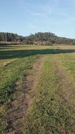Terreno en Melide photo 4