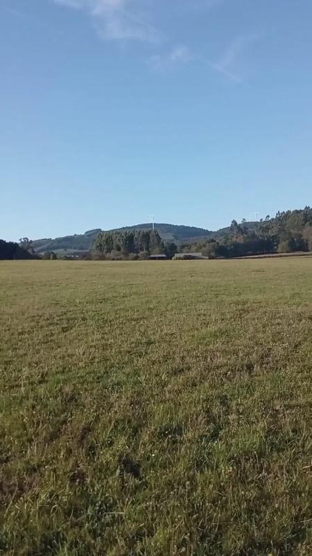 Land for sale in Melide, A Coruña photo 5