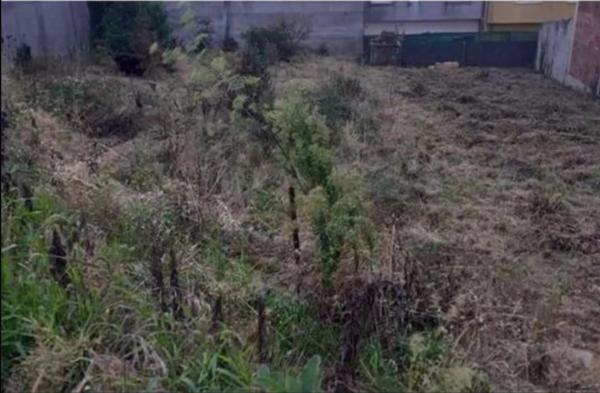 Terreno en carretera a codeseira s/n photo
