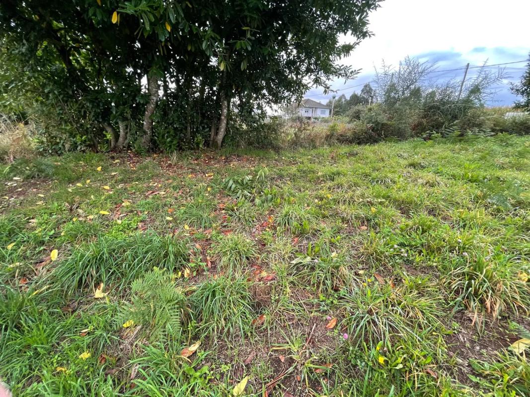 Land for sale in Melide, A Coruña photo 4