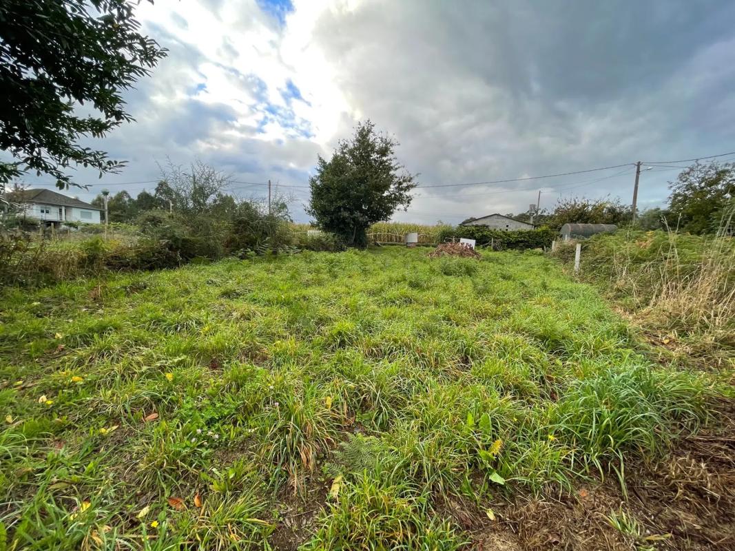 Land for sale in Melide, A Coruña photo 5