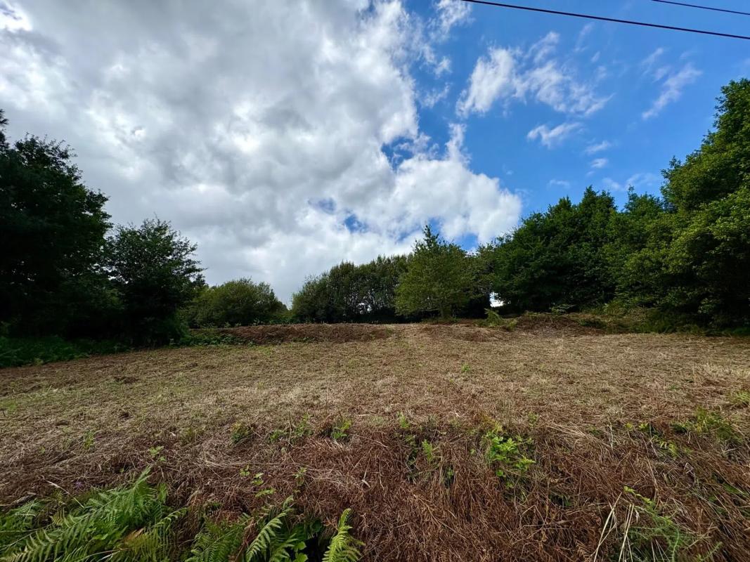 Terreno en venta en Paderne, A Coruña photo 5