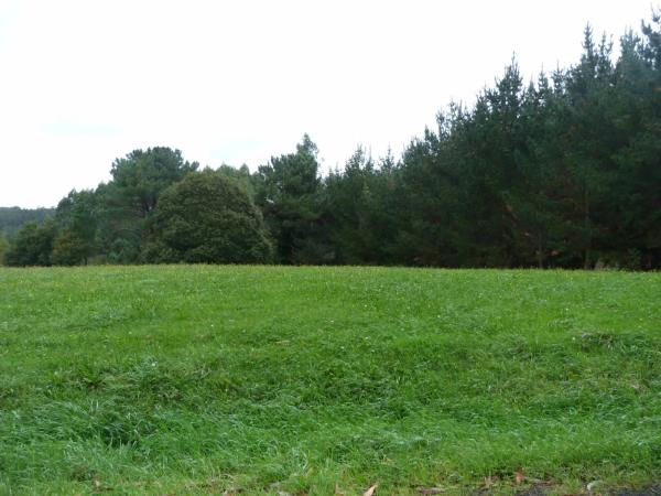 Terreno en Figueiredo, 1 photo 3