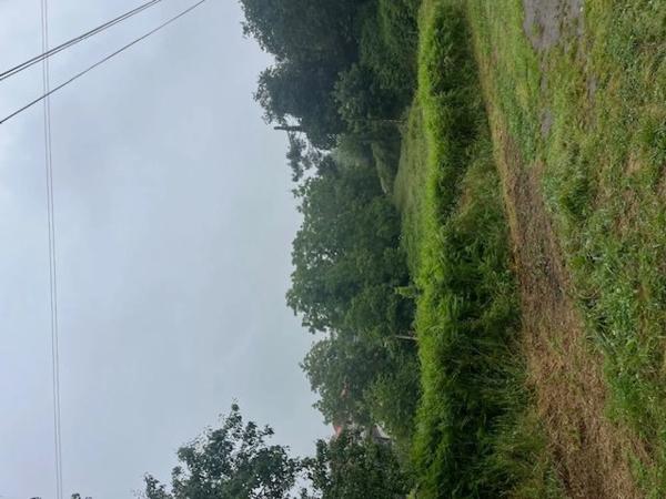 Terreno en Armea s/n photo 1