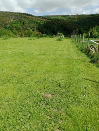 Terreno en o Moneco, 3 photo 2