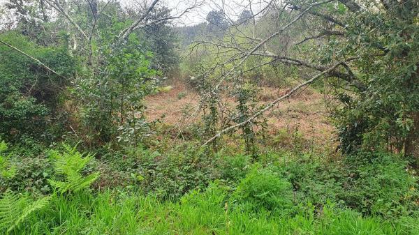 Terreno en Casal photo 4