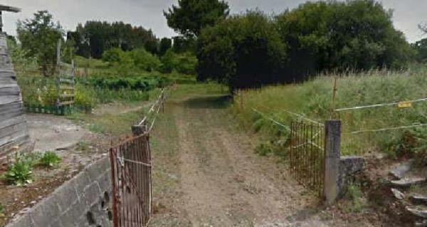 Terreno en camino Refoxo s/n photo 1
