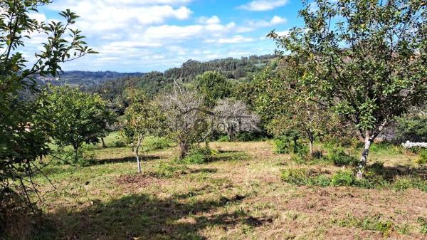 Terreno en Queiris photo 3