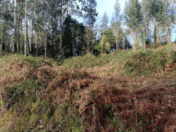 Terreno en Mondoi photo 2