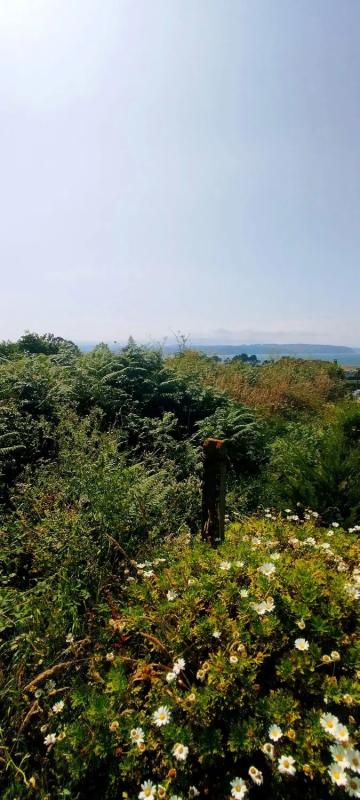 Land for sale in Miño, A Coruña photo 2