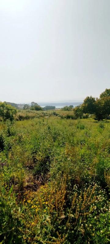 Land for sale in Miño, A Coruña photo 5