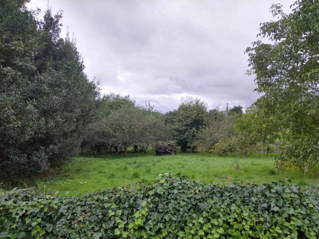 Terreno en venta en Coiros, A Coruña photo 3