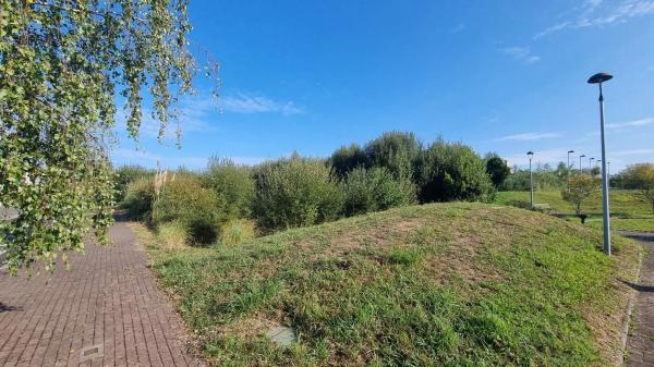 Terreno en calle As Camposas, 1 thumbnail 1