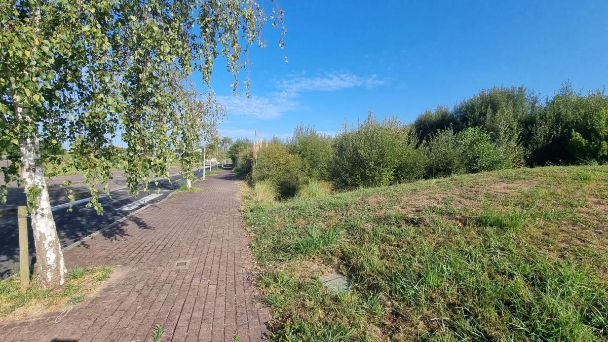 Działka na sprzedaż w Minho, A Coruña photo 4