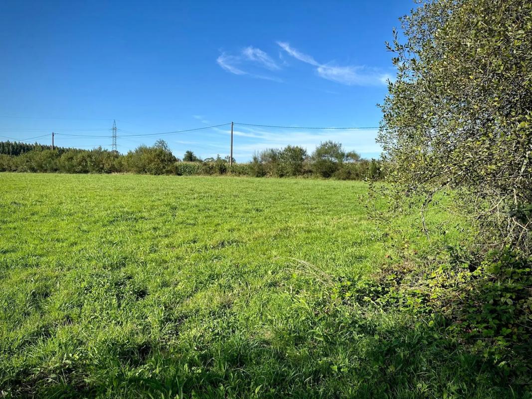 Terreno en venta en Oza-Cesuras, A Coruña photo 2