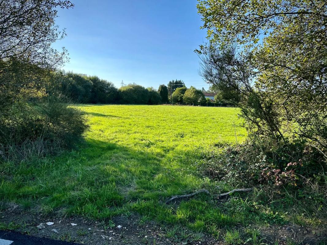 Terreno en venta en Oza-Cesuras, A Coruña photo 3