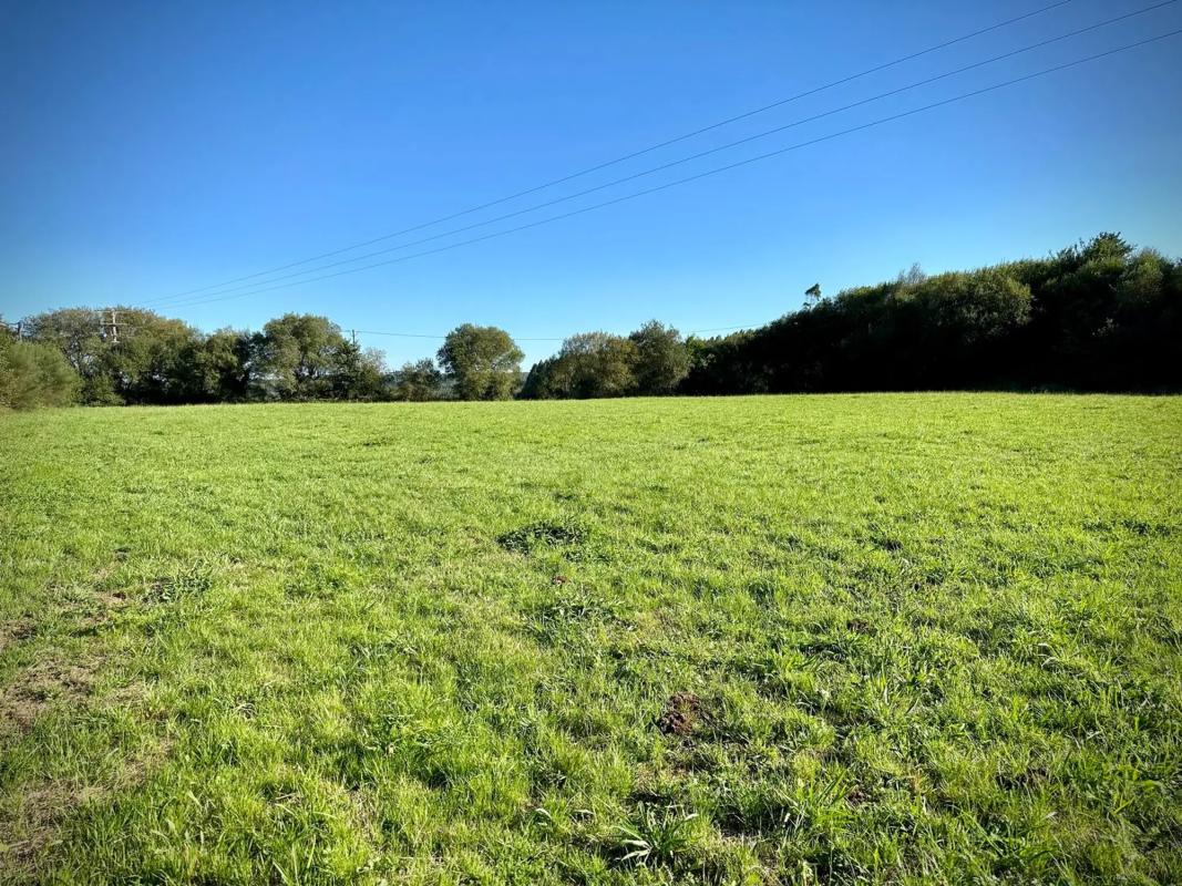 Terreno en venta en Oza-Cesuras, A Coruña photo 4