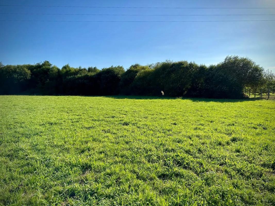 Terreno en venta en Oza-Cesuras, A Coruña photo 5