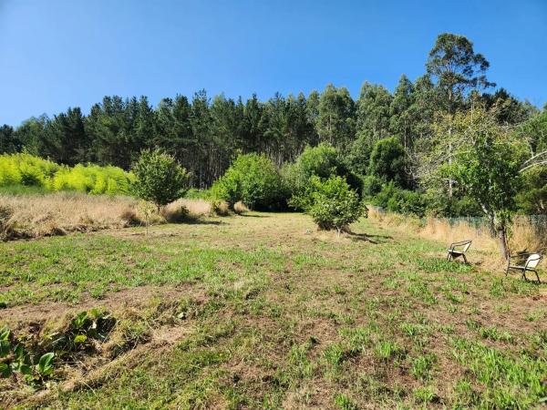 Terreno en Burricios s/n photo 2