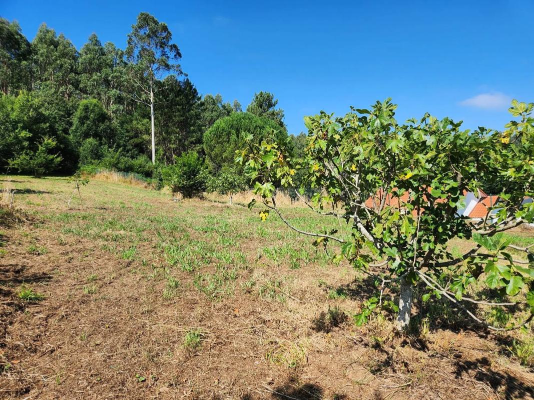 Terreno en venta en Oza-Cesuras, A Coruña photo 3