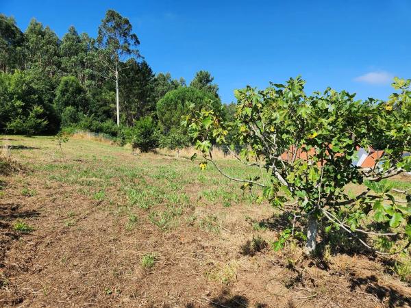 Terreno en Burricios s/n photo 3