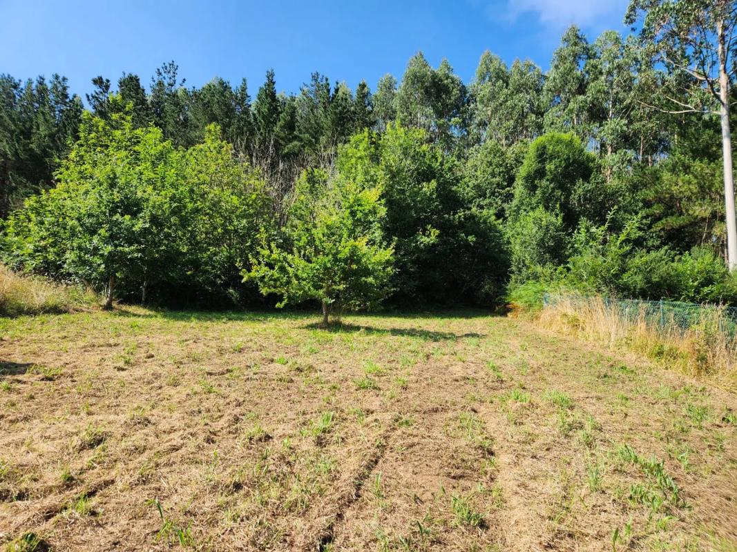 Terreno en venta en Oza-Cesuras, A Coruña photo 5