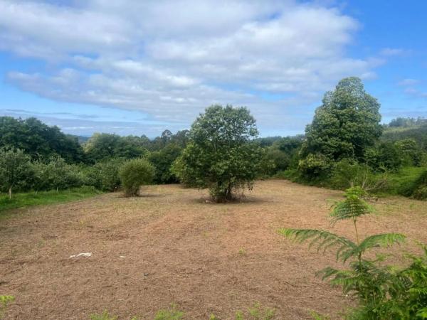 Terreno en Aldea Cachufeira photo 2