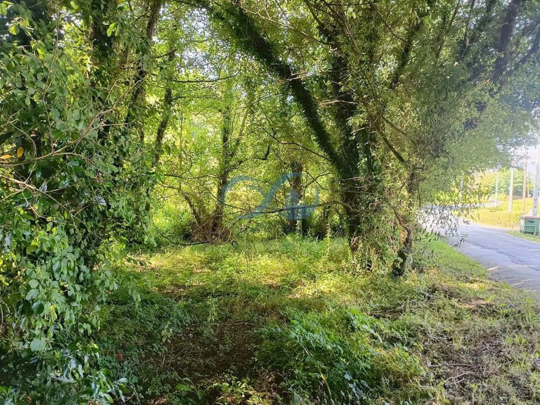 Land for sale in Betanzos, A Coruña photo 2