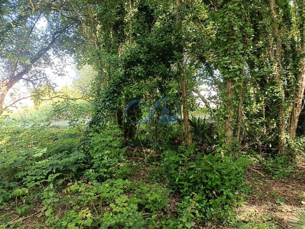 Land for sale in Betanzos, A Coruña photo 3