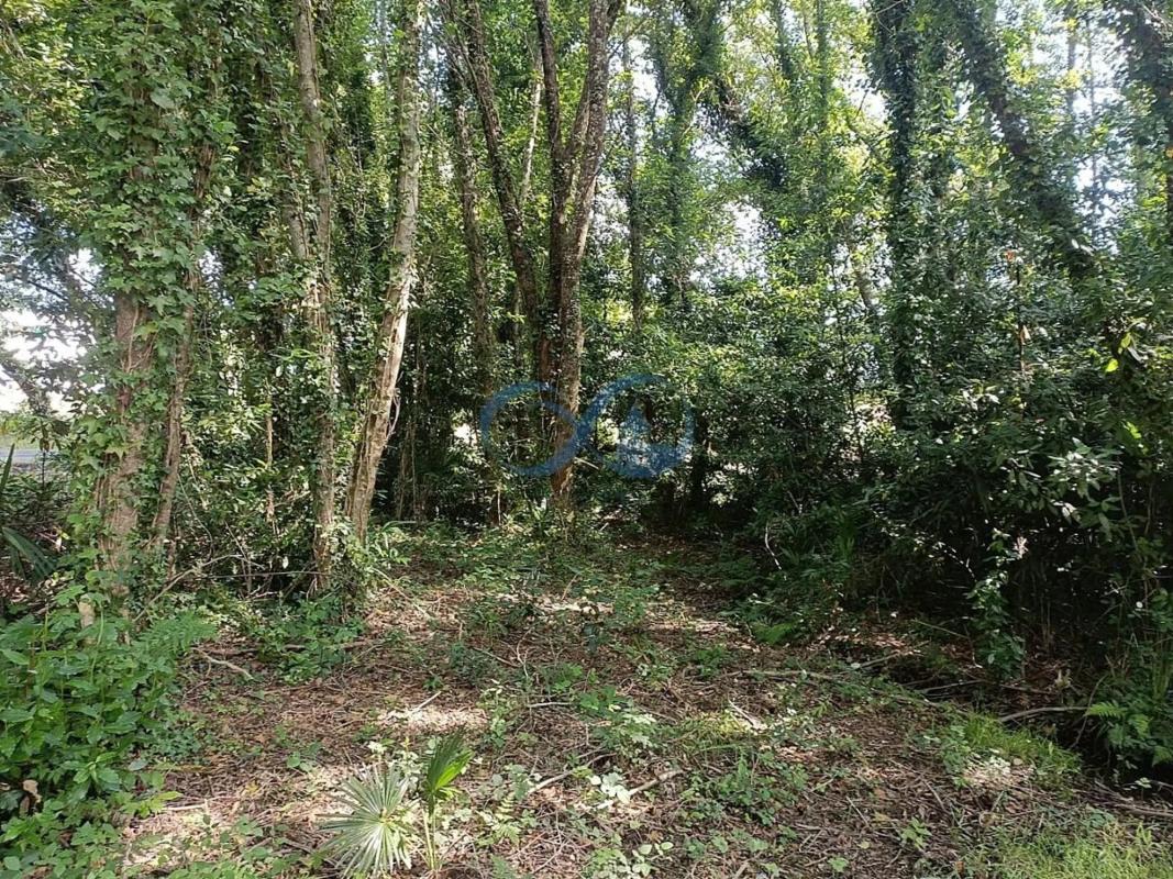 Land for sale in Betanzos, A Coruña photo 4