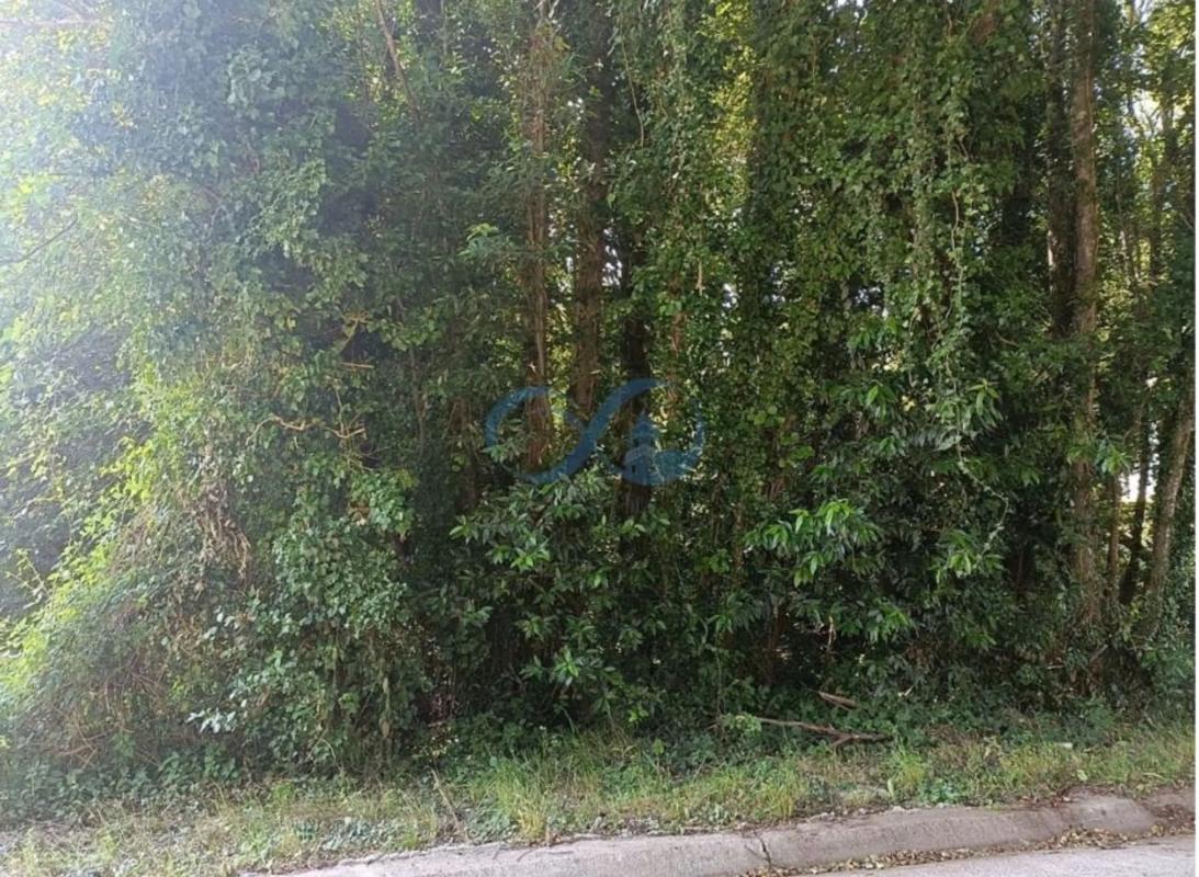 Участок земли на продажу в Бетанцос, Ла-Коруня photo 5