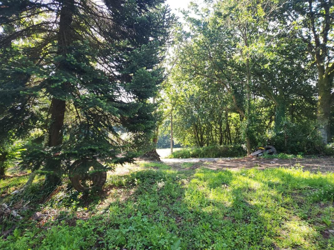 Terreno en venta en Oza-Cesuras, A Coruña photo 2