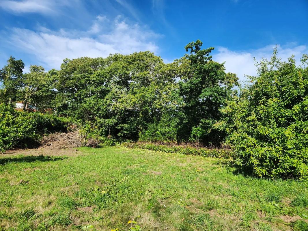 Terreno en venta en Oza-Cesuras, A Coruña photo 4