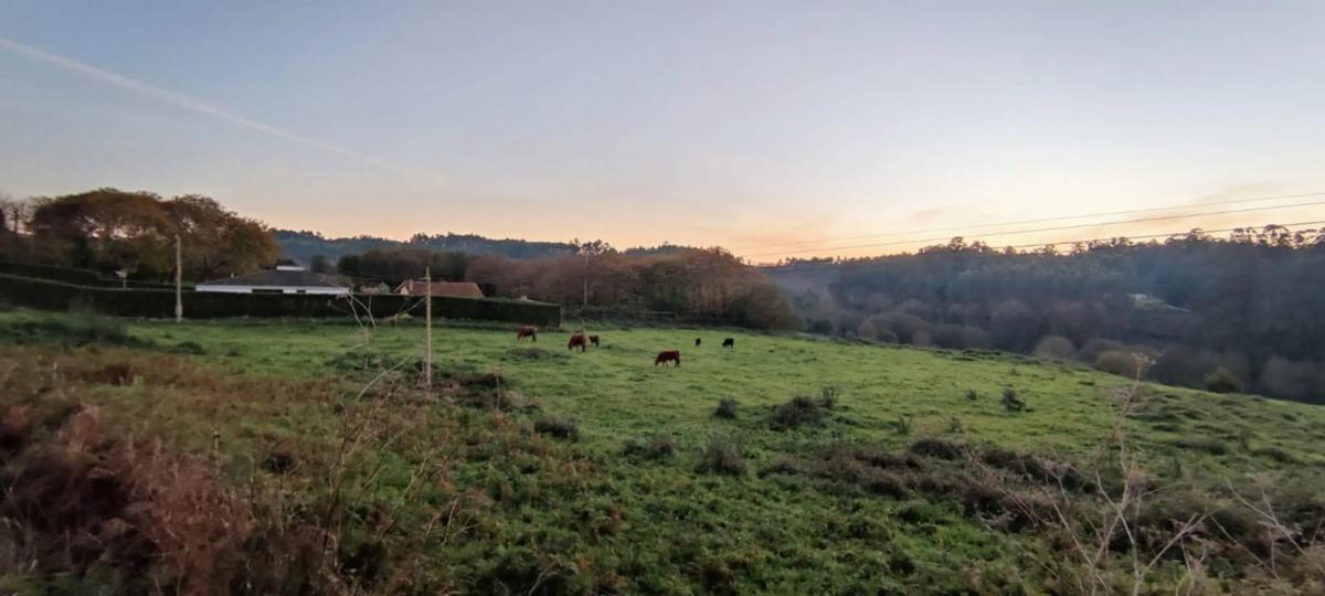 Terreno en venta en Oza-Cesuras, A Coruña photo 2