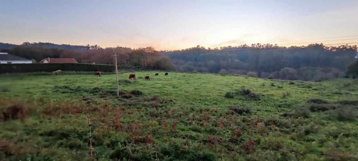 Terreno en venta en Oza-Cesuras, A Coruña photo 4